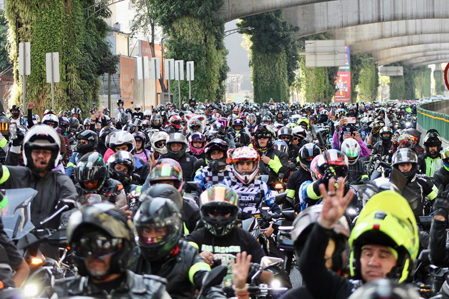 IMAGEN 11