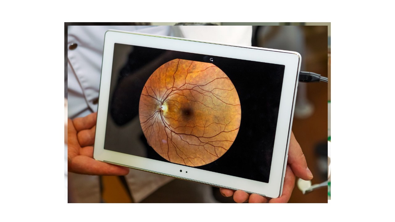 Imagen de WhatsApp 2024-11-14 a las 13.44.47_5050001b