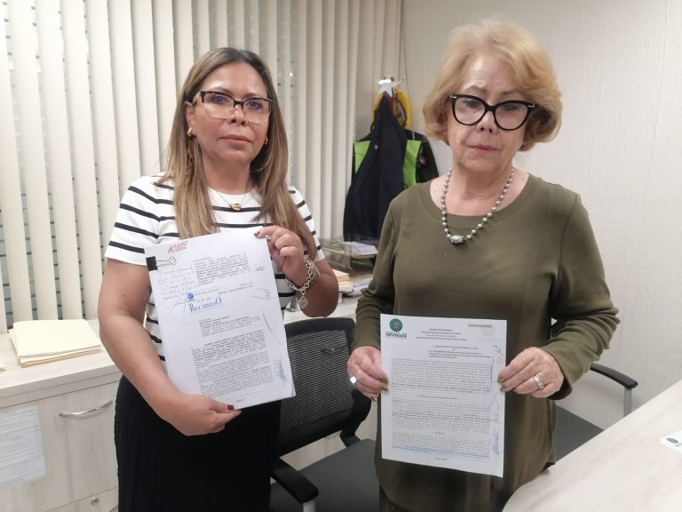 Imagen de WhatsApp 2024-12-05 a las 16.37.34_9b1ba11a