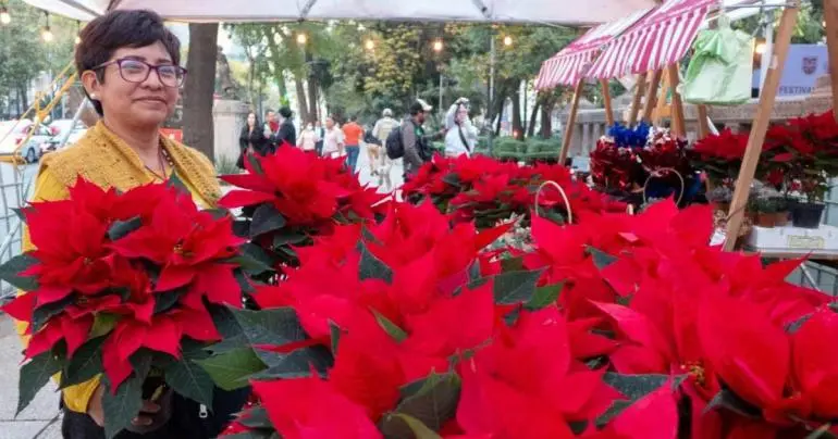 venta_de_nochebuenas_paseo_de_la_reforma