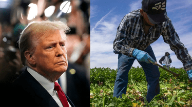 Los migrantes mexicanos aportan más de 324 mil millones de dólares a la economía estadounidense