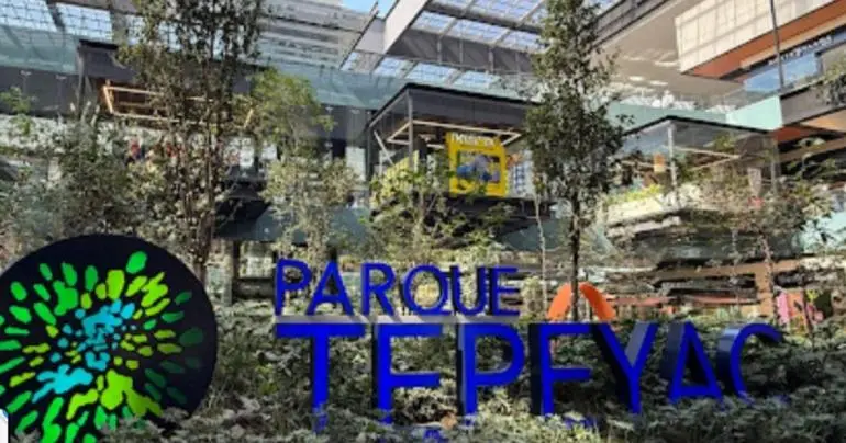 flamazo-parque-tepeyac-restaurante