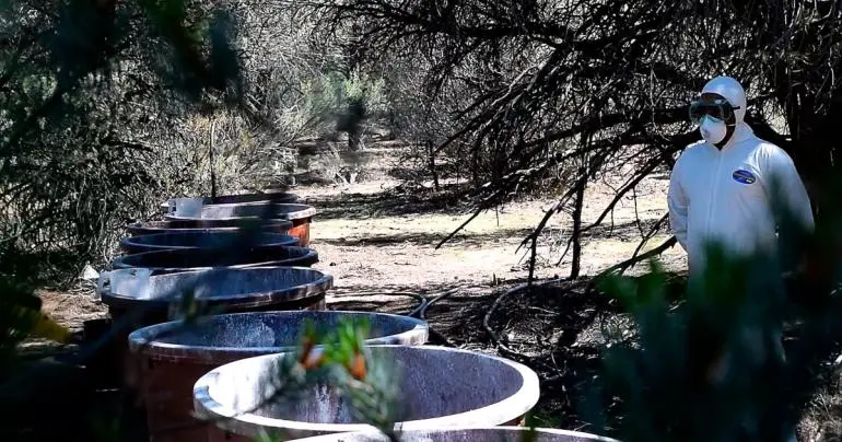 semar-desmantela-narcolaboratorios-sinaloa
