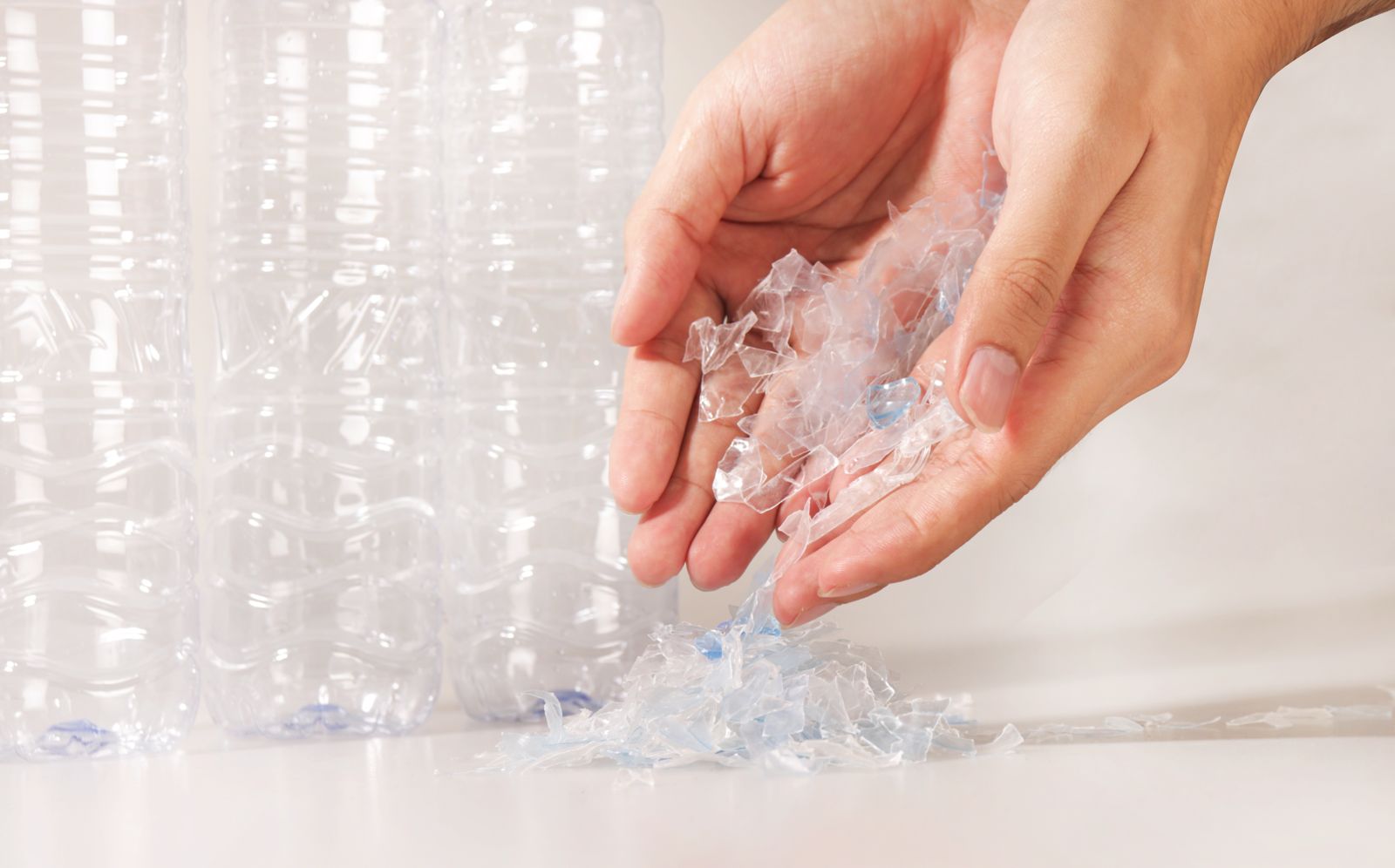 Imagen de WhatsApp 2025-02-11 a las 12.48.19_c129ea0f