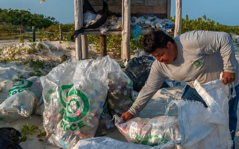 ecoce-busca-reconocer-labor-personas_42_0_1132_704