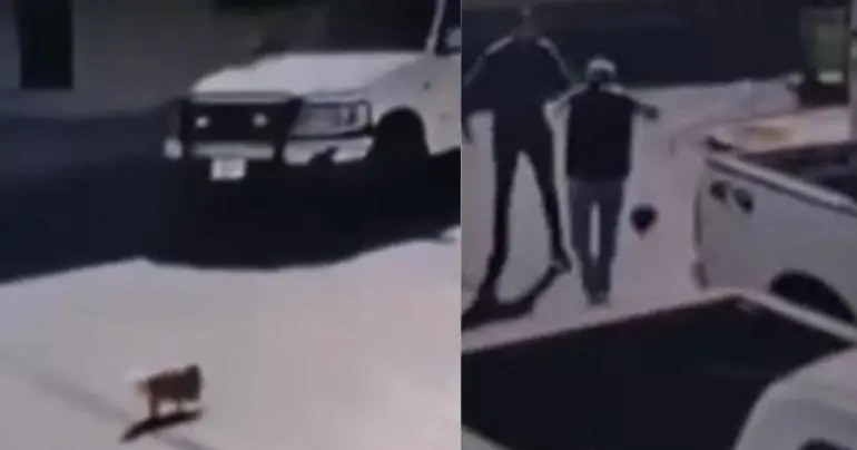 hombre_golpea_a_abuelito_por_atropellar_a_su_perro_en_piedras_negras