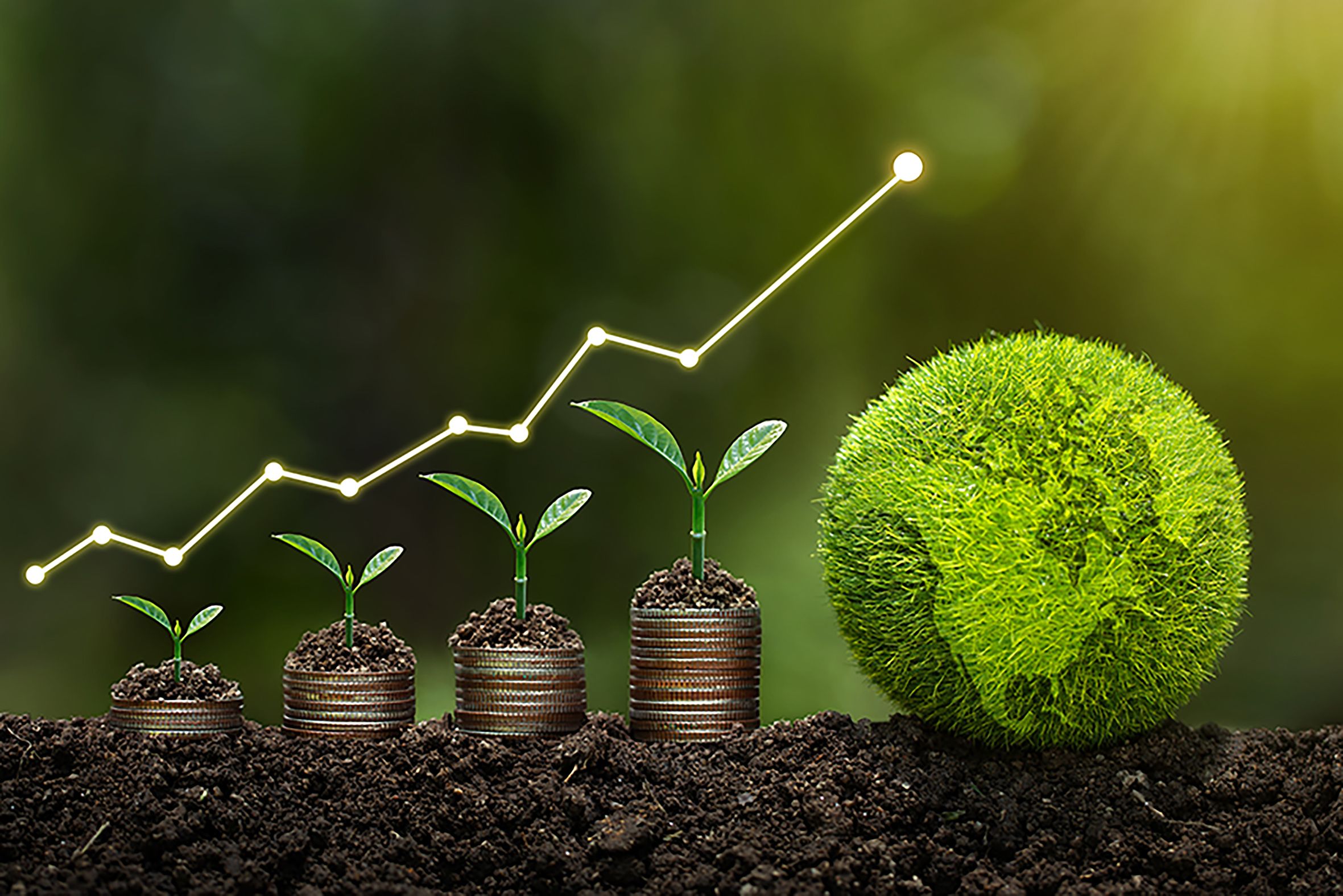 Financiacin_COX_-_LATAM_refe_1