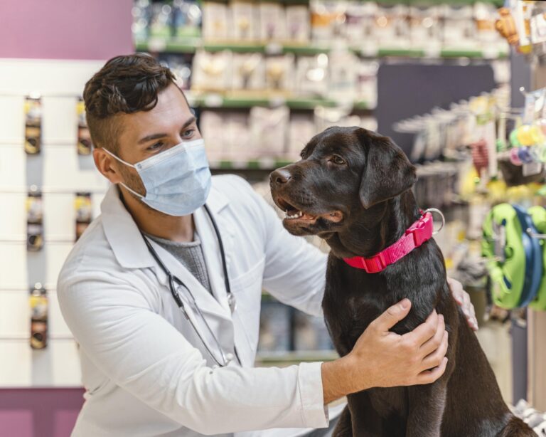 Veterinario MSD SA