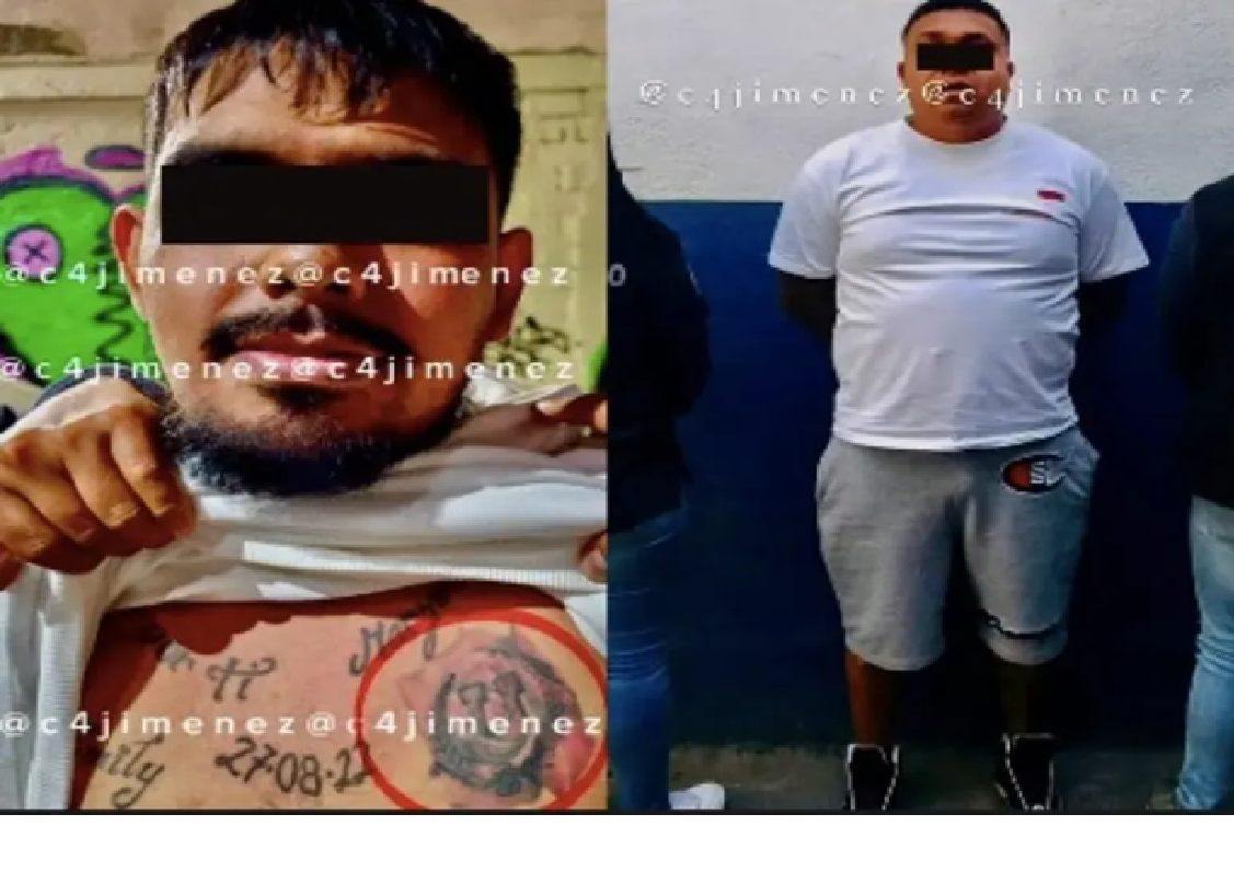 moño