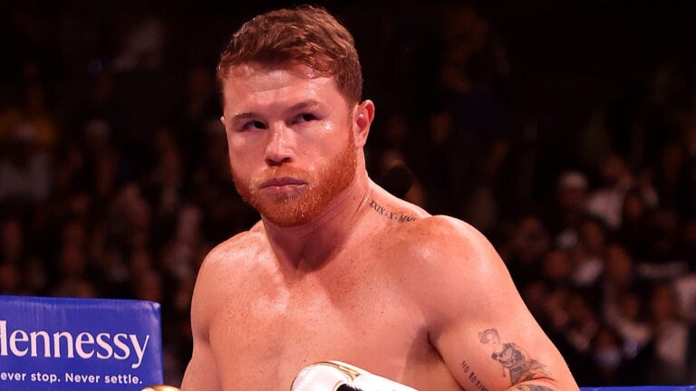 pic-1-canelo-plant_1g174lz3k6ocu1p0markm3bh71