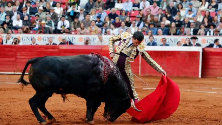 toreros-buscan-amparo-prohibicion-corridas-toros-con-sangre