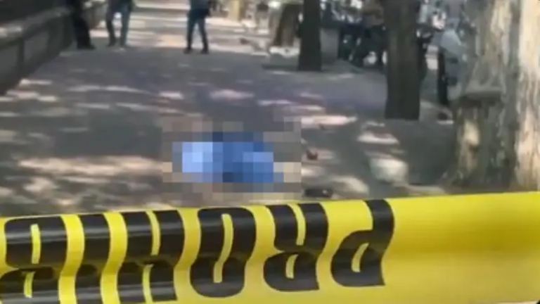 whatsapp_image_2025-04-08_at_10.58.27_am