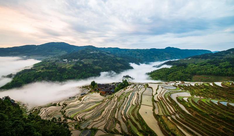 CHINA-GUIZHOU-CONGJIANG-CAMPOS ATERRAZADOS-PAISAJE