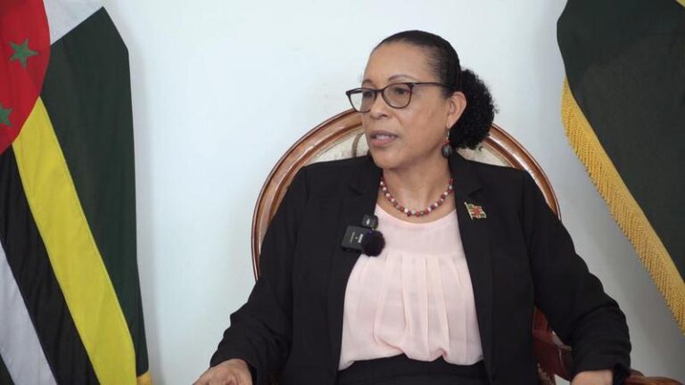 DOMINICA-ROSEAU-PRESIDENT-CHINA-INTERVIEW