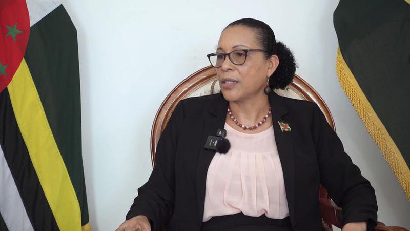 DOMINICA-ROSEAU-PRESIDENT-CHINA-INTERVIEW