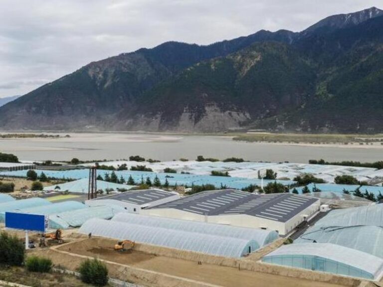 (InXizang)CHINA-XIZANG-NYINGCHI-FISHERY FARMING (CN)