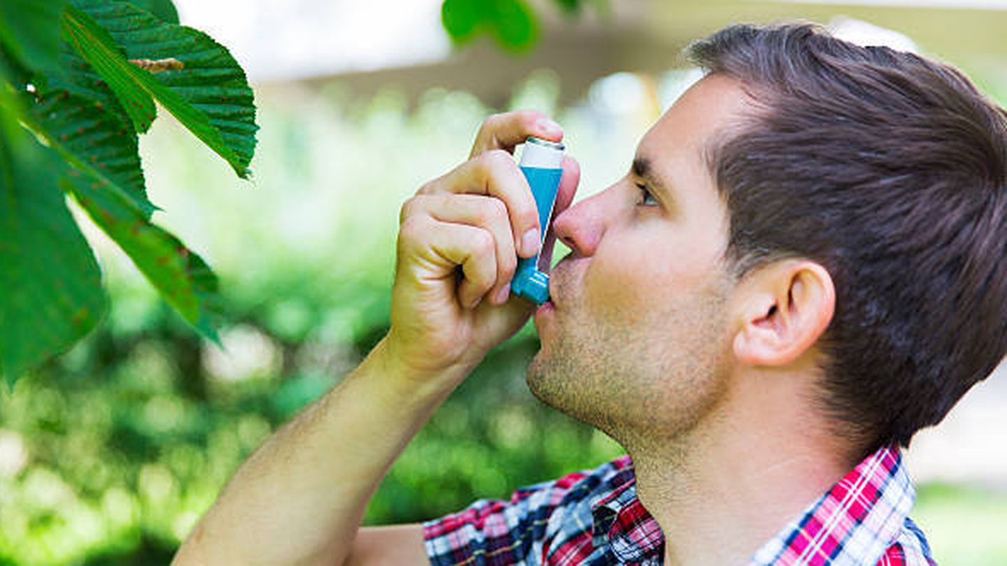 f.elconfidencial.com_original_15f_929_a8b_15f929a8bf386212b3a3564bf333fca5