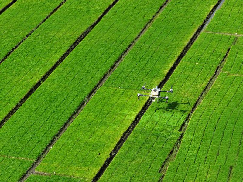CHINA-SICHUAN-CHONGZHOU-COMPETENCIA DE AGRICULTURA INTELIGENTE
