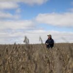 EEUU-IOWA-ATLANTIC-CHINA-COMERCIO-AGRICULTOR