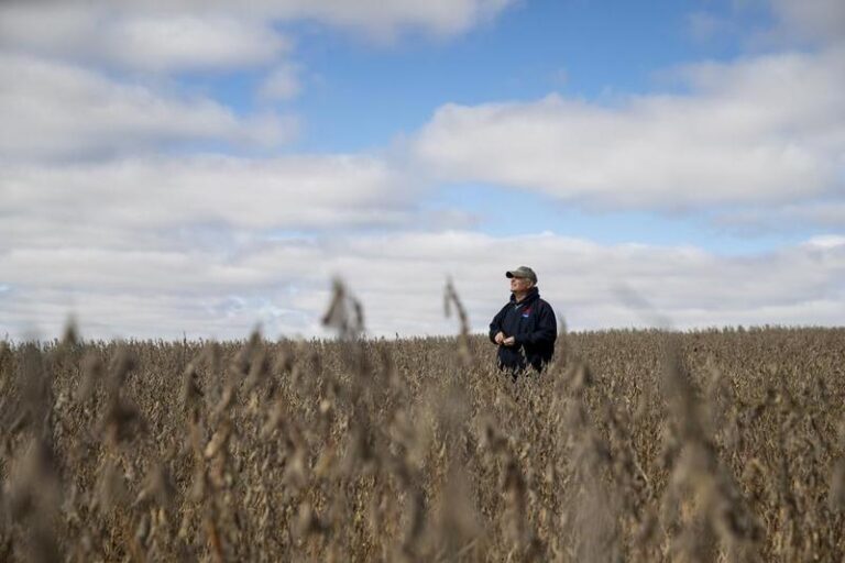 EEUU-IOWA-ATLANTIC-CHINA-COMERCIO-AGRICULTOR