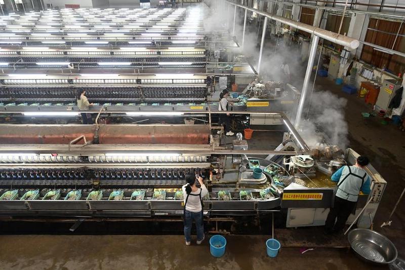 CHINA-GUANGXI-XINCHENG-SILK PRODUCTION (CN)