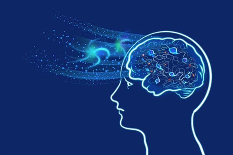 Colaboración chino-cubana en ciencias del cerebro muestra beneficios mutuos de la Franja y la Ruta
