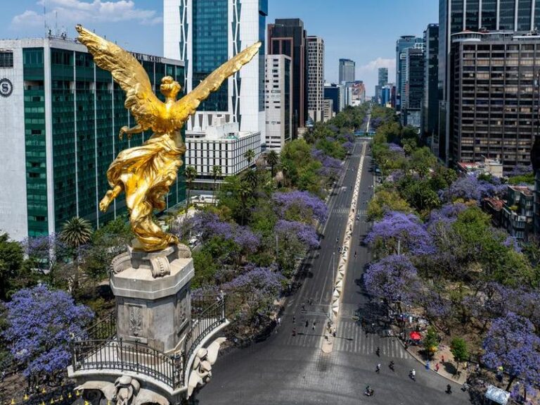 MEXICO-CIUDAD DE MEXICO-JACARANDA