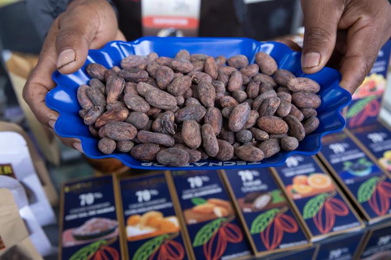 PERU-LIMA-SALON DEL CACAO Y CHOCOLATE 2025