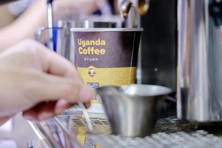 CHINA-CIIE-UGANDA-COFFEE DEALS (CN)
