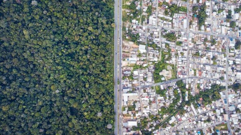 BRASIL-AMAZONAS-MANAOS-PAISAJE