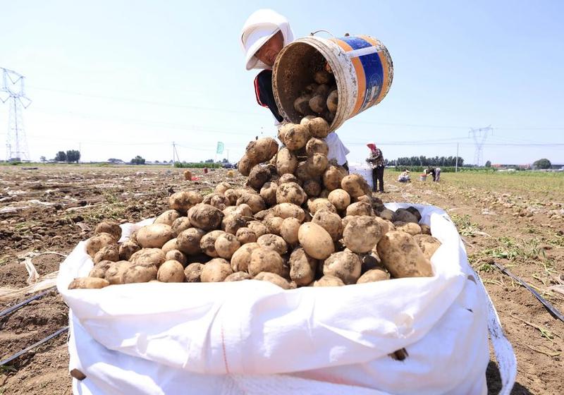 CHINA-HEBEI-TANGSHAN-AGRICULTURE-DEVELOPMENT (CN)