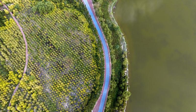 (FlyOverChina) CHINA-NINGXIA-YINCHUAN-LAKES AND RIVERS-SCENERY (CN)