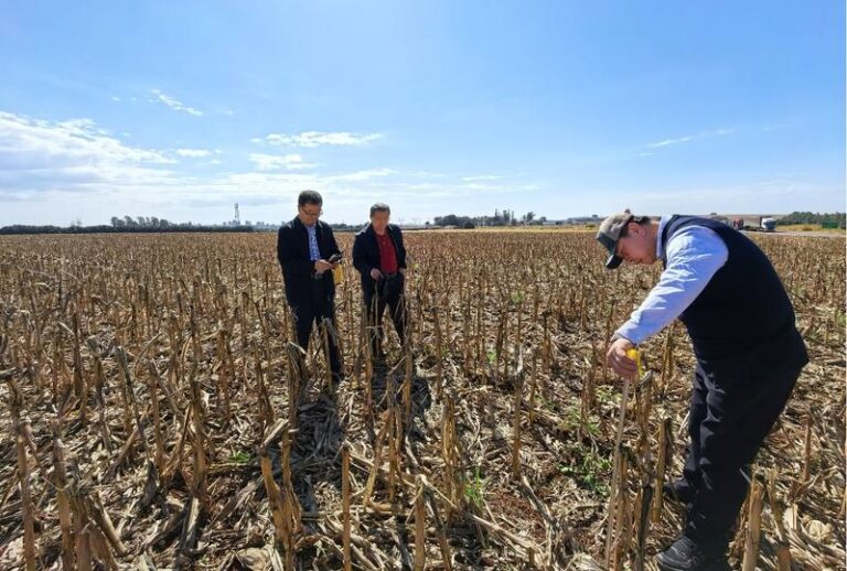 £¨XHDW¡¤Í¼ÎÄ»¥¶¯£©£¨2£©ÖÐÀ­¿É³ÖÐøÁ¸Ê³´´ÐÂÖÐÐÄÉî»¯Å©Òµ¿Æ¼¼ºÏ×÷