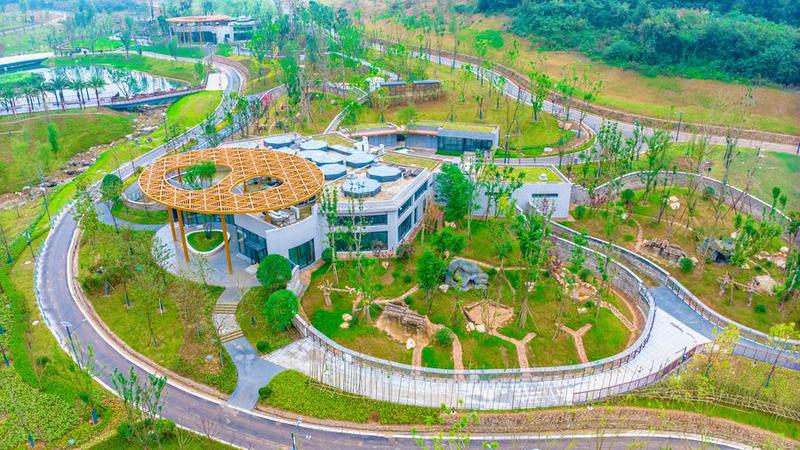 CHINA-SICHUAN-MIANYANG-PANDA GIGANTE-NUEVA BASE