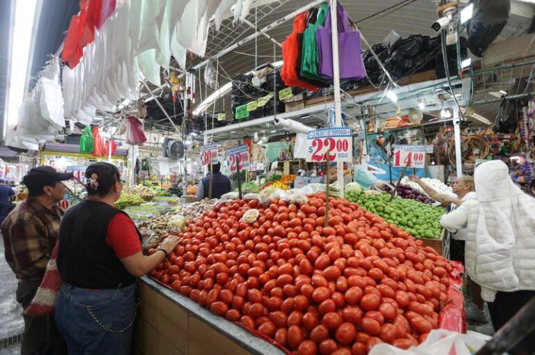 MEXICO-CIUDAD DE MEXICO-EEUU-TOMATES