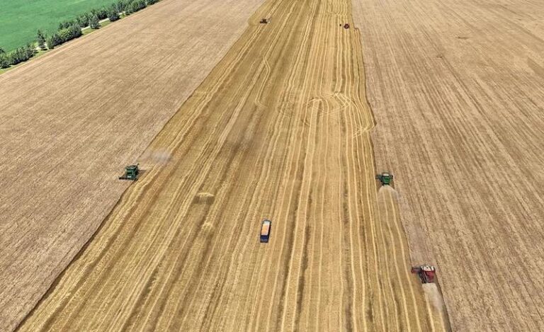 #CHINA-HEILONGJIANG-WHEAT-HARVEST (CN)