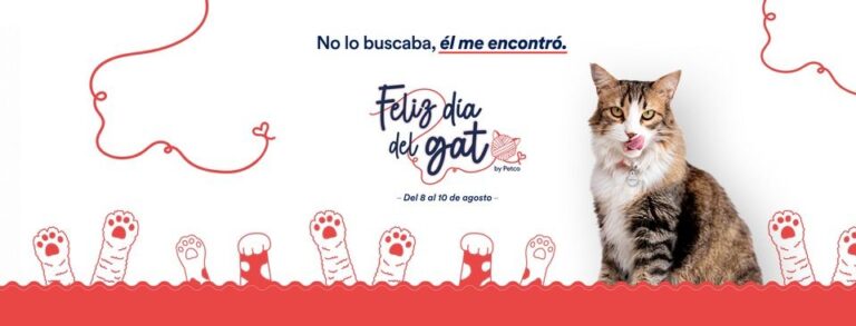 Da_Internacional_del_Gato_Petco_2