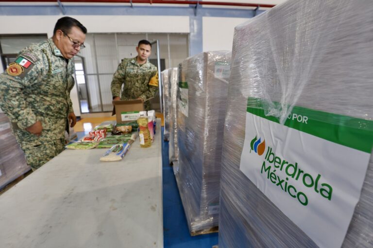 Iberdrola_Mxico_entrega_1500_despensas_2