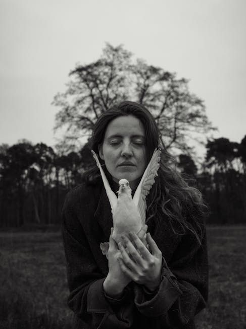 pexels_pexels-photo-34940710