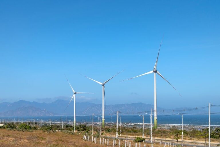 pexels_pexels-photo-6416358