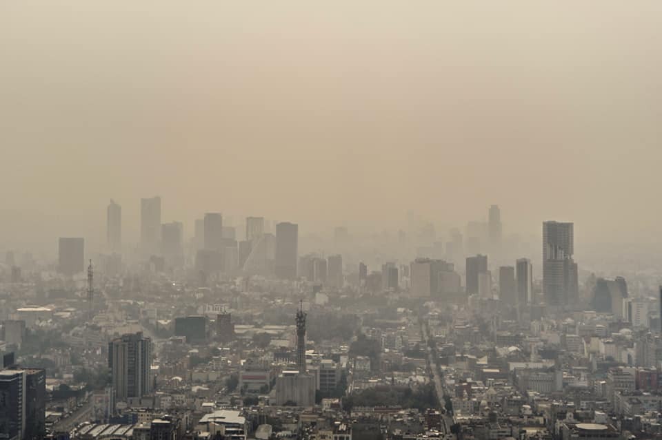 60422877_2285026848426425_4425903900914089984_n