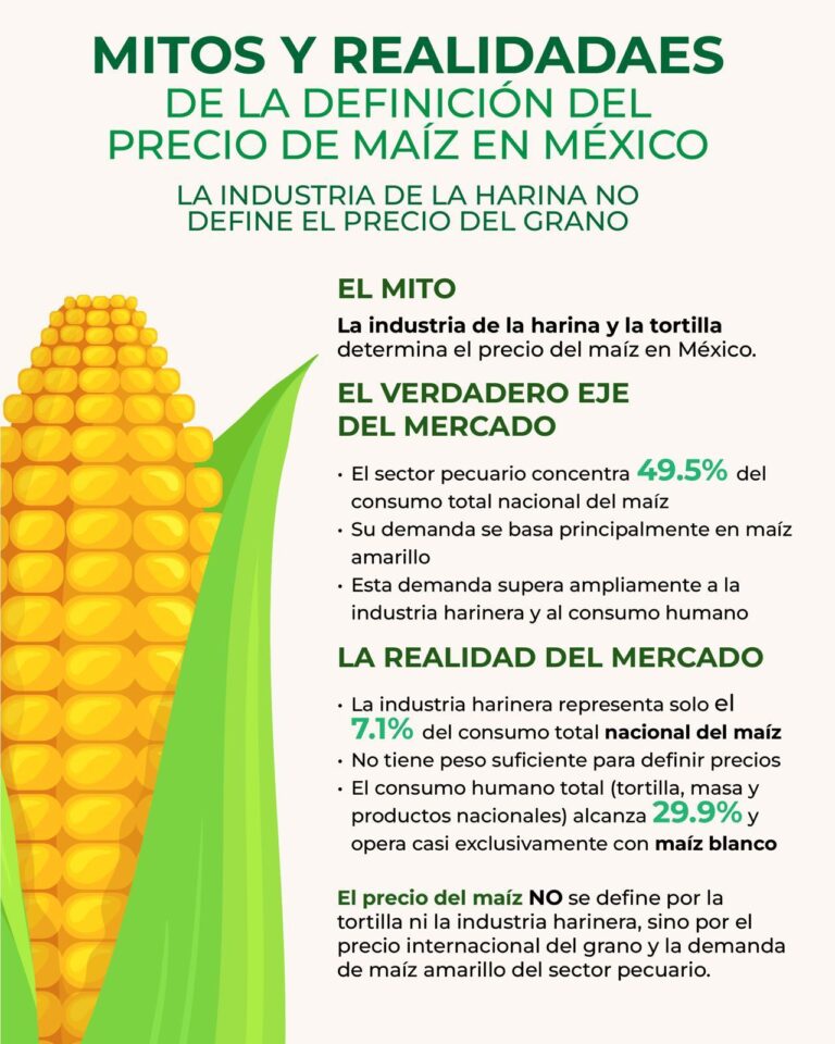 WhatsApp_Image_2025-12-19_at_25248_PM