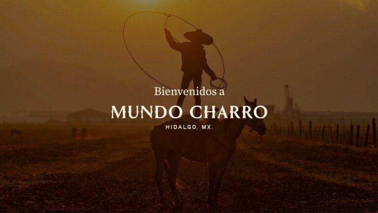 WhatsApp Image 2026-01-21 at 13.28.42 (2)