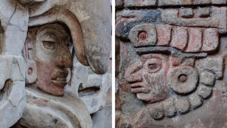 proyecto-nuevo-2026-01-24t084309.292-091519