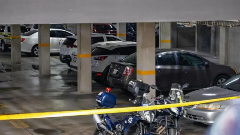 reporta-sheinbaum-baja-40-por-ciento-homicidios