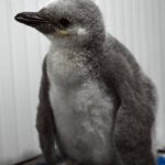 photo_2026-02-12_13-17-03