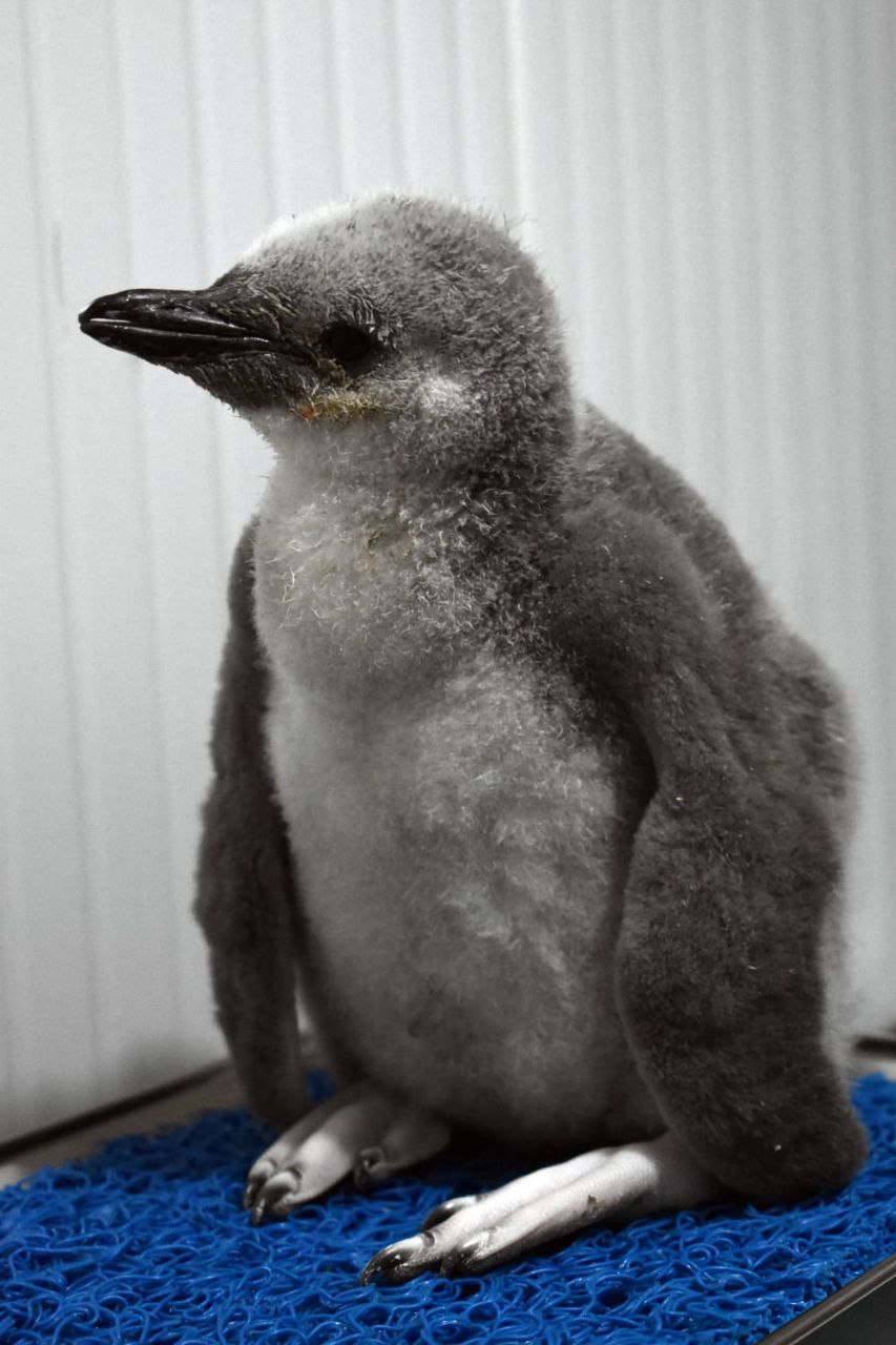 photo_2026-02-12_13-17-03