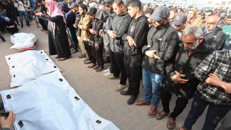 proyecto-nuevo-2026-02-15t082452.226-084935